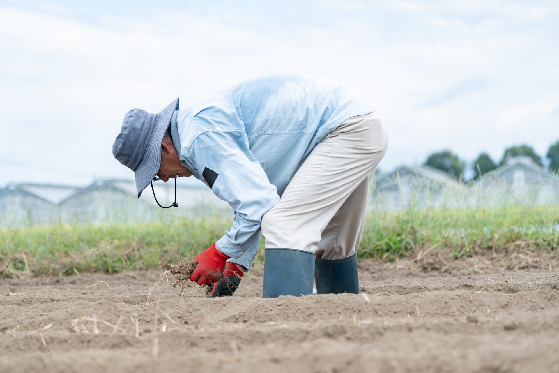 FUN FARMのづみ野